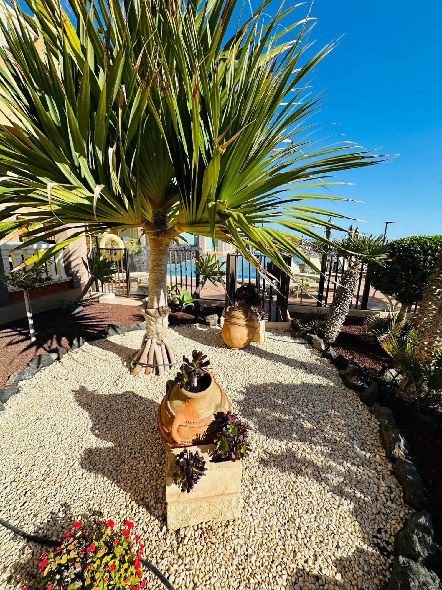 El Nautico Coral Suites San Miguel de Abona Dış mekan fotoğraf